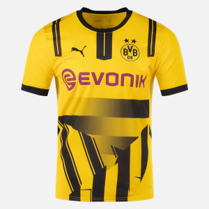 Maillot BVB Borussia Dortmund Fotbollstroja Cup 202425 1